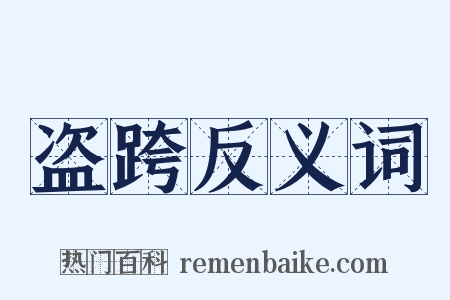 盗跨反义词是什么意思的图片